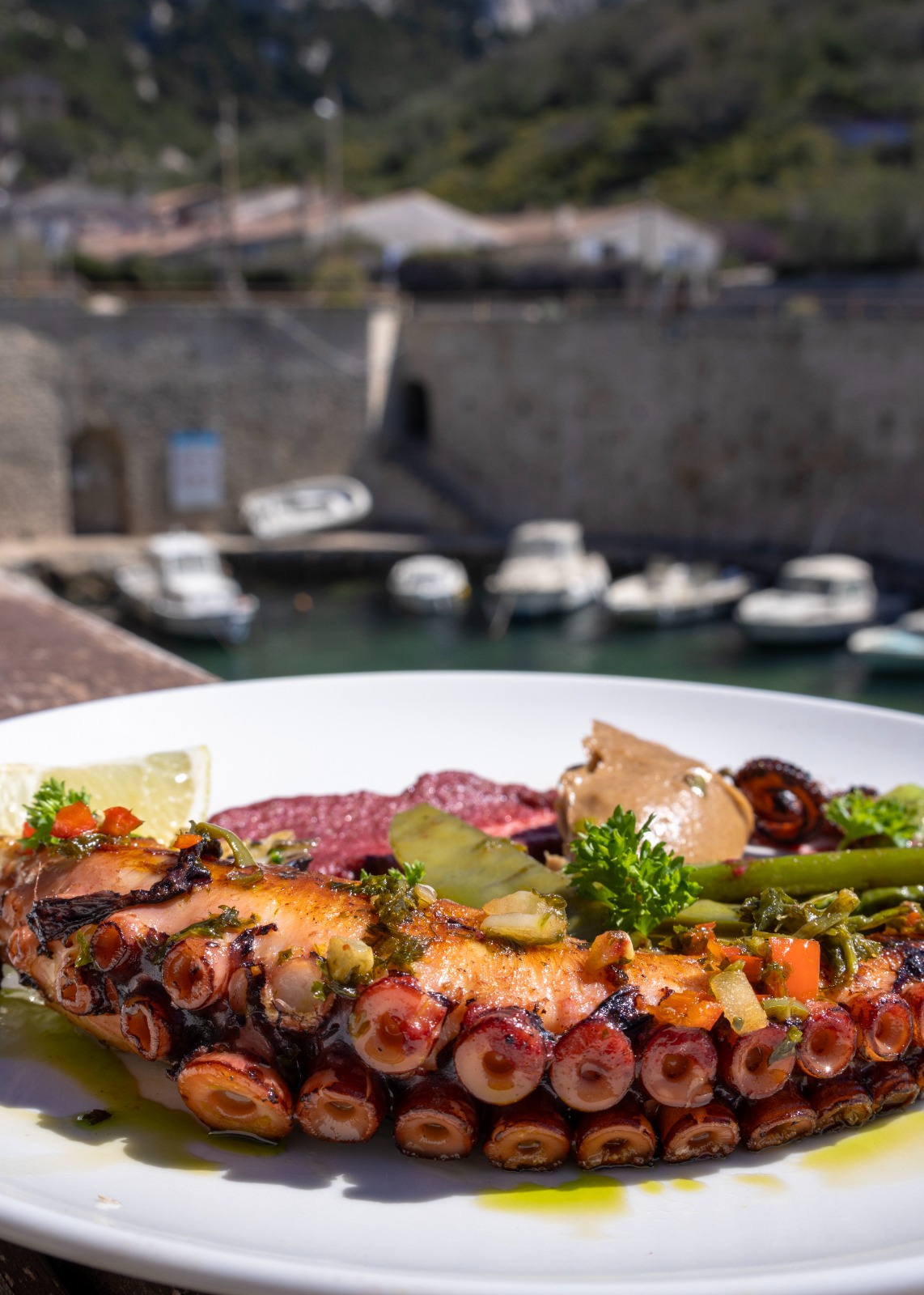 Poulpe grillé au restaurant Le Petit Port à Marseille – création de contenu par 2bFluence